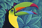 tropical-toucan